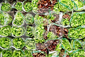 Green and red lettuce salad on a shop display. Healthy eating