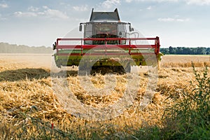 green red working harvesting combine in a field of wheat in front of a blue cloudy sky