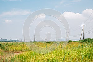 Green reed field at Hwaseong Fossilized Dinosaur Egg Site in Hwaseong, Korea