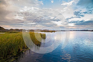 Green reed near water on amazing sky background