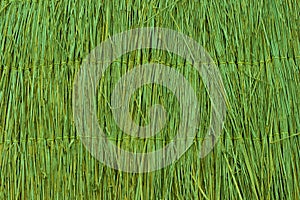 Green reed texture wallpaper or background