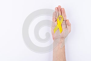 Green ribbon over palm. White background