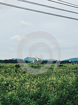 Green rice field and the golden bouddha in Ayutthaya, thailand photo