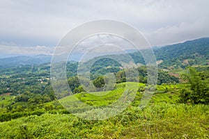 The green rice fields in the green mountains, Asia, Vietnam, Tonkin, Dien Bien Phu, in summer, on a cloudy day