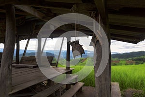 Green rice fields at Mae Chaem District, Chiang Mai Province