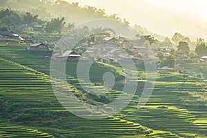 Green rice fields on mountains in Sapa Village