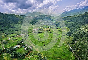 Green rice fields in the mountains of vietnam
