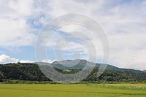 Green rice fields and rice paddies with mountains in summer in Hokkaido, northern Japan