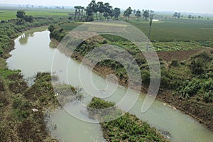 Green rice plant farming on a remote village farming field.