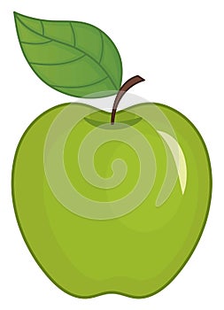 Green Ripe Apple with Leaf. Vector Green Apple