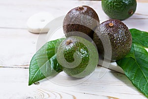 Green ripe avocado from organic avocado plantation - healthy foo
