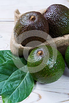 Green ripe avocado from organic avocado plantation - healthy foo