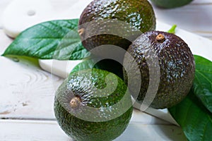 Green ripe avocado from organic avocado plantation - healthy foo