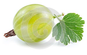 Green ripe gooseberry with a leaf on white background. Close-up