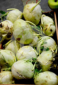 Green ripe kohlrabi