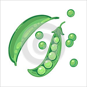 Green ripe pod of peas and peas hand drawn vector illustration isolated on white background.