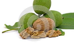 Green and ripe walnuts against a white background