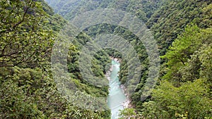 Green river in Iya valley in Japan