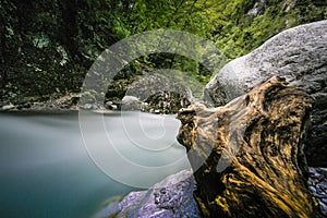 The green river Soca in the middle of the triglav national park