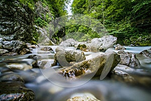 The green river Soca in the middle of the triglav national park