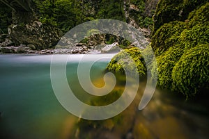 The green river Soca in the middle of the triglav national park