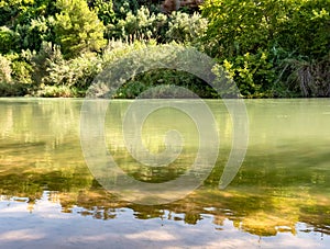Green river in summer