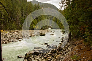 Green river between Whistler and Pemperton (Canada