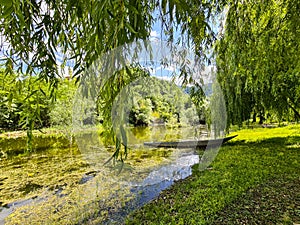 Green river, willow leaves, and a boat on a beautiful grassy shore