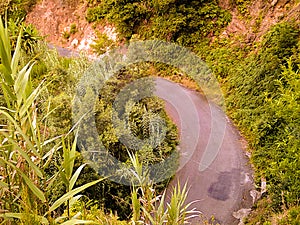 Green Roads, Madeira Island Portugal photo
