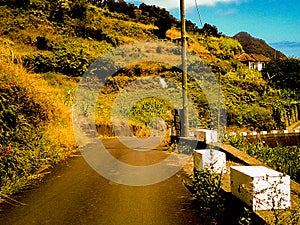 Green Roads, Madeira Island Portugal photo