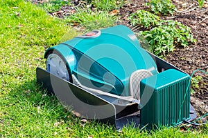 Green robotic Lawnmower charging on grass