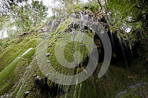 Verde la roca 