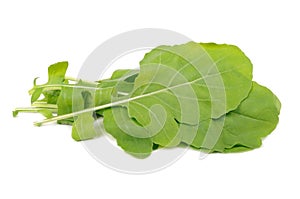 Green Rocket Salad Leaves