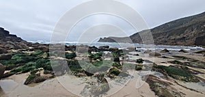 Green rocks at the beach