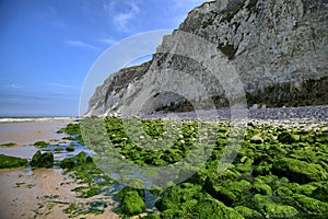 Green rocks on sea coast near Wissant city, France. photo