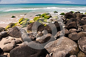 Green Rocks on a Tropical Beach