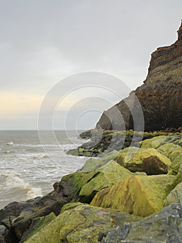 Green rocks at Whitby