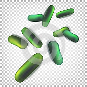 Green rod-shaped bacteria. Vector illustration