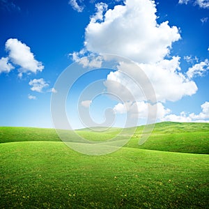 Green Rolling Fields