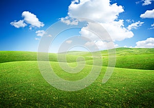 Green Rolling Fields photo