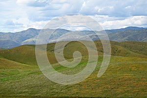 Green Rolling Hills and Blue Cloudy Skies  near Bakersfield, California