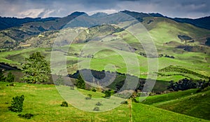 Green Rolling Hills of California near Cambria