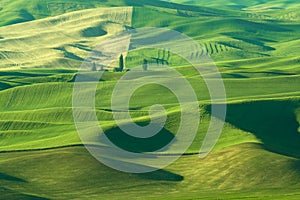 Green rolling hills of farmland wheat fields seen from the Palouse