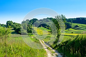 Green rolling hills in Roztocze,Poland