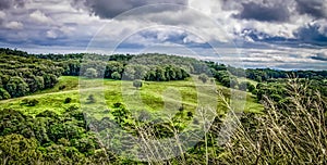 Green rolling meadows in an Australian landscape