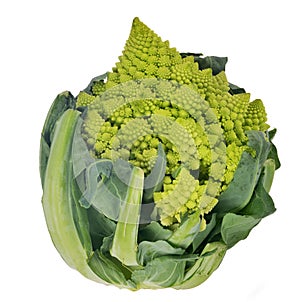 Green Romanesco broccoli isolated on white