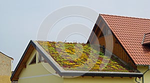 Green roof 01