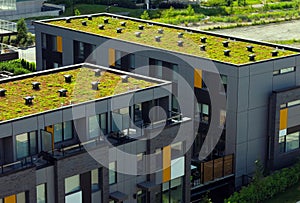 Green roof