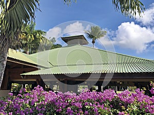 Green roof of Caribbean house with close-up of tropical pink flowers, blue sky and palm trees. Dream Caribbean architecture