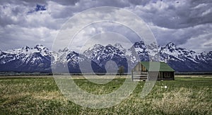 Green roof house in the field